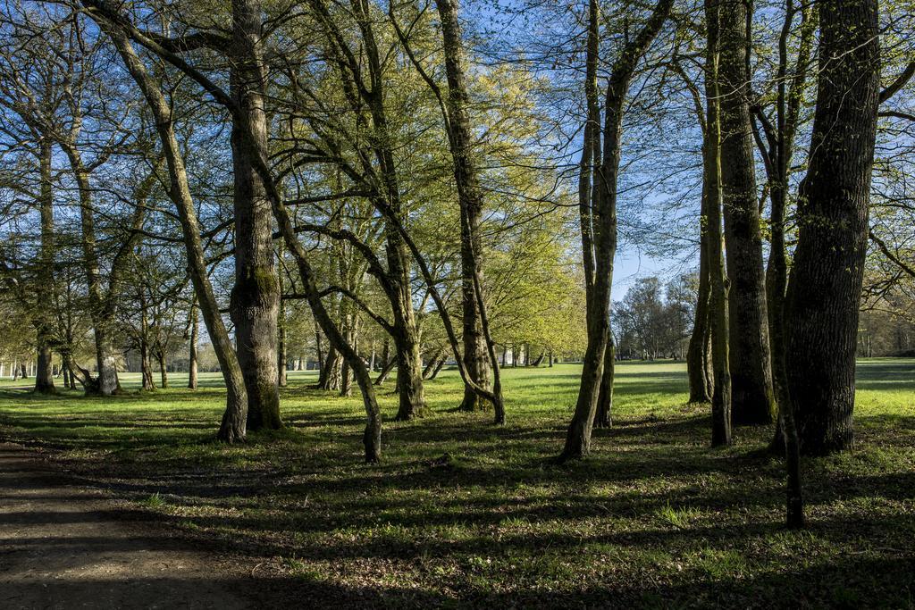 Château Des Briottieres Champigné Exterior foto
